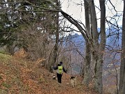 63  Bello scendere su tappeto di foglie 